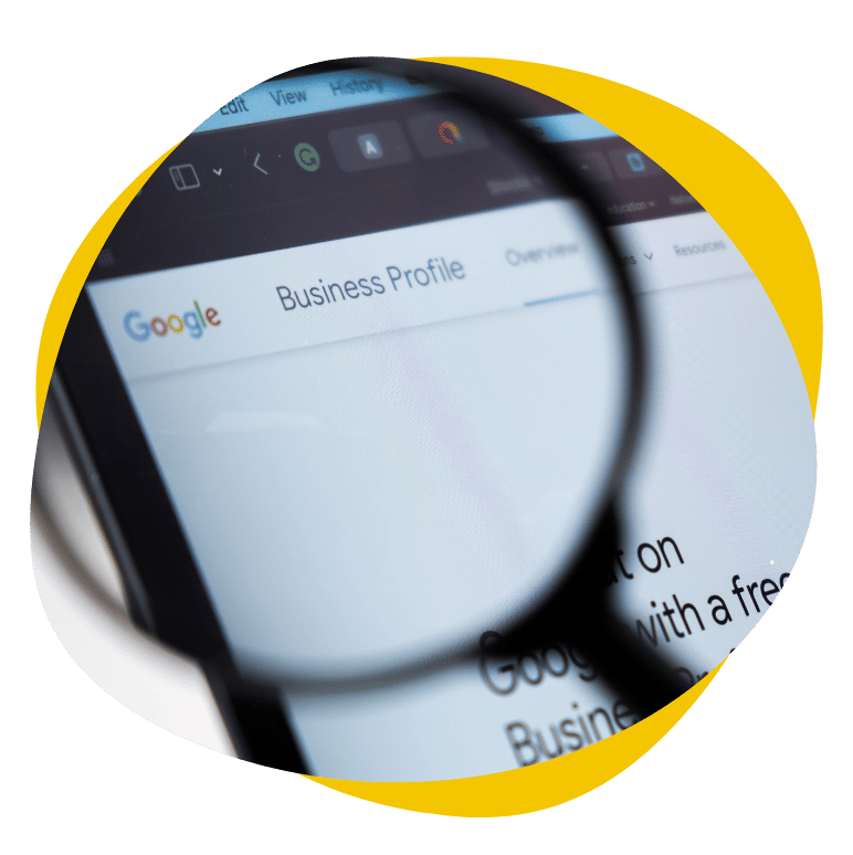 Google Business Profile dashboard optimized with correct categories, service areas, reviews, and competitive local positioning.